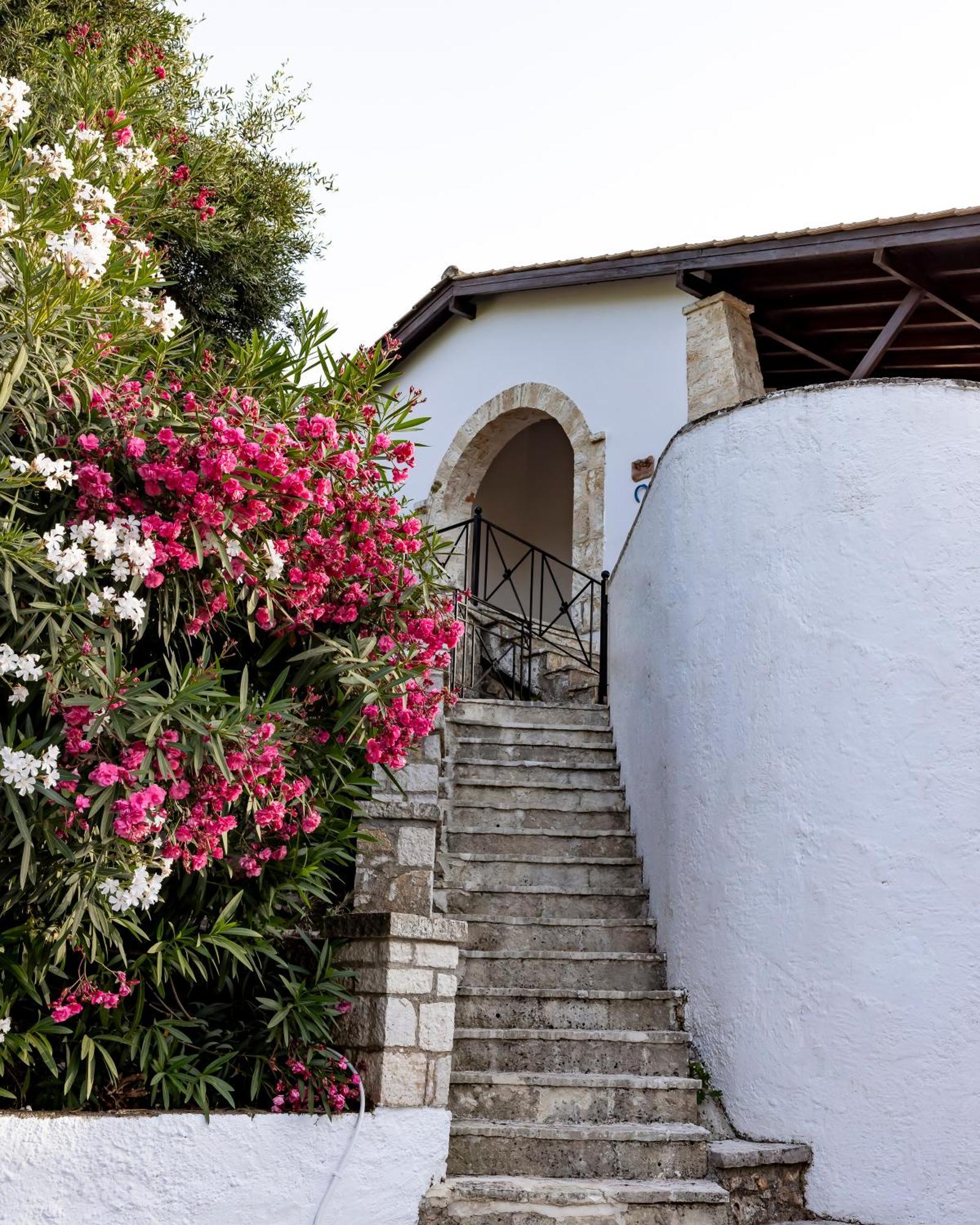 Vila Mount Minis - Casa Bruno Sívota Exteriér fotografie